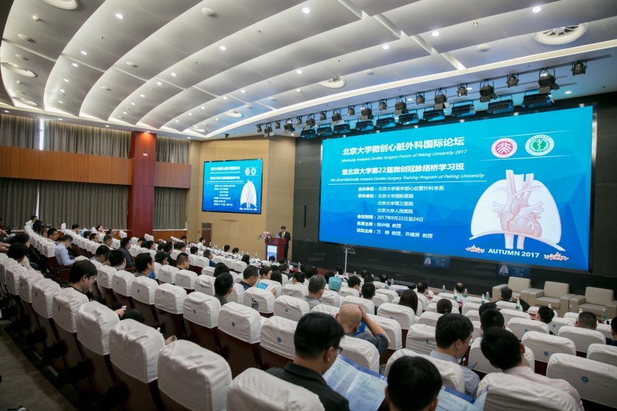 京阿尼动漫亚洲精品少妇久久久久久海角社区，细腻情感与艺术魅力的极致绽放